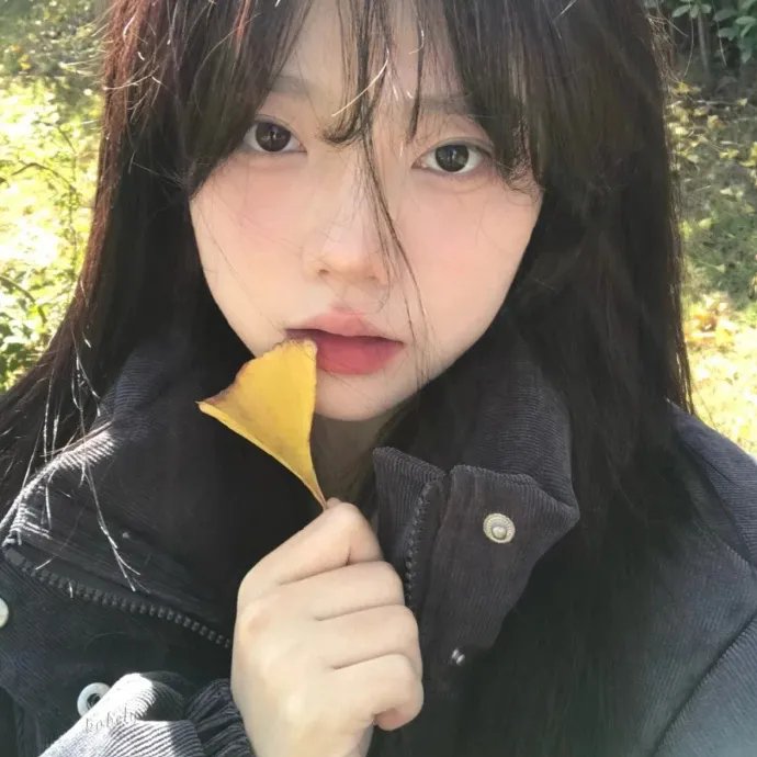 约会规则第五季